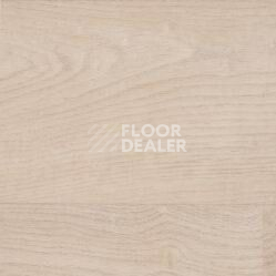 Линолеум Taralay Initial Comfort 0797 Habana Ivory фото 1 | FLOORDEALER